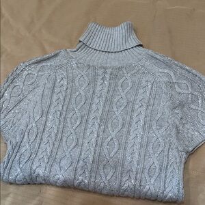 Gap Turtle Neck Sweater